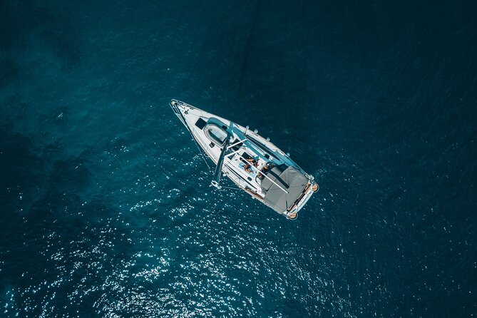 Private Sailboat Rental in Puerto Banús, Marbella - Dolphin spotting in the Med: exciting, but never guaranteed