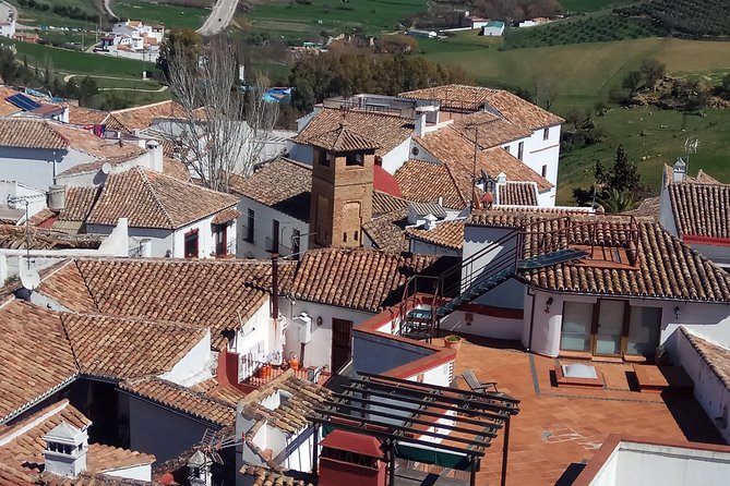 Private Tour in Ronda including the Bullring and Main Church - Plaza de Toros de Ronda: the oldest bullring vibe and what you’ll learn