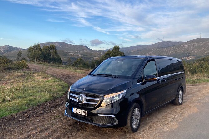 Private Transfer from Malaga Airport (Agp) to Granada City - Door-to-Door Calm From AGP to Granada