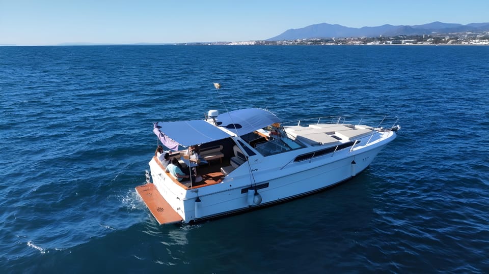 PUERTO BANUS: YACHT RENTAL FOR GROUP 2H - Dolphin spotting plan: how to think about wild sea animals