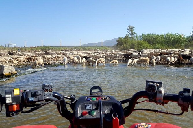 Quad Bikes for Guided Tours. - Where You Start in Churriana and Why It Matters