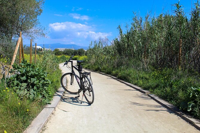 Rent a Trekking bike: Full Day 24 hours - Riding the Guadalhorce River Estuary: Birds, Marshlands, and Wide Views
