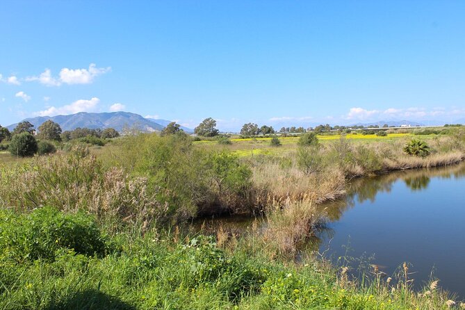 Rent a Trekking bike: Full Day 24 hours - Price and Value: Why $36.04 Can Actually Make Sense