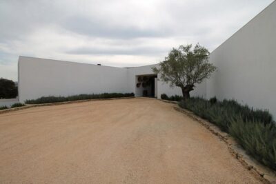 Ronda Private Full Day Wine Tour - La Melonera: Vineyards, Barrel Room, and Indigenous Grapes
