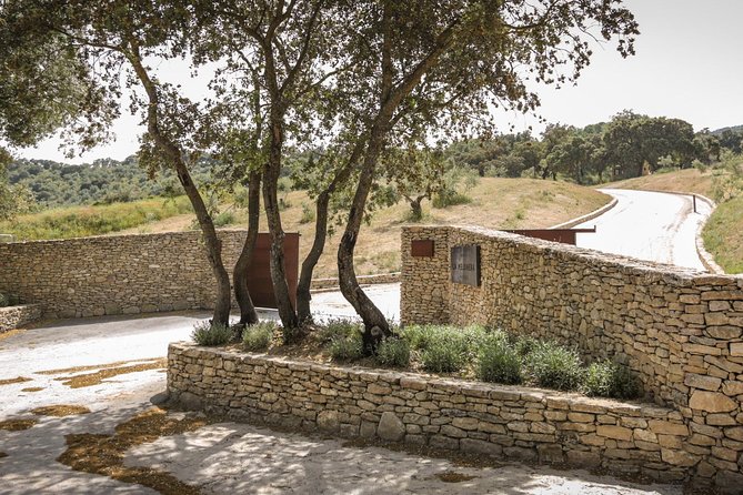 Ronda Private Full Day Wine Tour - FAQ