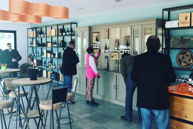 Ronda Private Wine Tour and Tapas from Marbella - Wine tasting plus tapas: what’s included and how it should feel