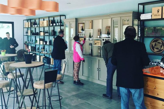 Ronda Private Wine Tour + Free Time in Ronda - Food, Wine, and Pacing: What’s Included and What You Should Plan