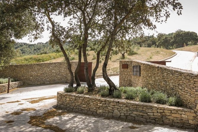 Ronda Private Wine Tour + Free Time in Ronda - Price Check: Is $415.04 Worth It for a Private Day?