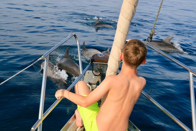 Sailing Boat-always private-always by sail-search for dolphins - Key highlights you will care about