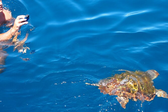 Sailing Boat-always private-always by sail-search for dolphins - Swimming and gear: the part that makes this feel like a full outing