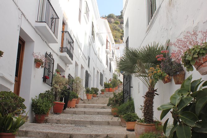 Semi-private Tour to Frigiliana and The Lost Village with lunch included - After the walk: using Frigiliana’s free time without burning your legs