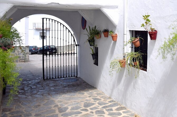 Sensational Setenil by e-bike (full day) - Exploring Rio Trejo caves: where to look, and how to pace it