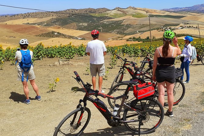 Sensational Setenil by e-bike (full day) - Food timing: tapas, lunch, and drinks that are part of the deal