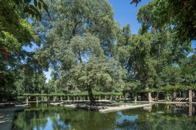 Seville Day Trip with Cathedral Entrance from Malaga - UNESCO Cathedral and Giralda: the ticketed highlight you should plan around