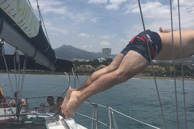 Shared Sailboat Experience Feel nature with dolphins - Dolphin spotting: the thrill, the reality, and how to enjoy it anyway