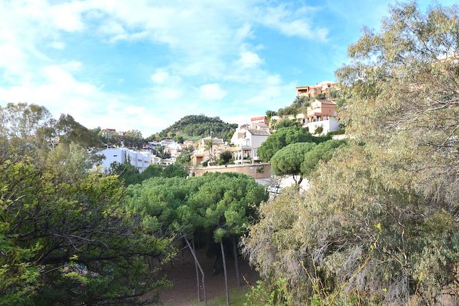 Spanish Civil War Private Walking Tour in Malaga - How Juan Diego turns history into real people (not a lecture)