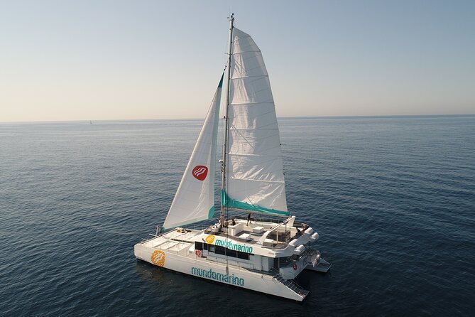 Sunset or night catamaran tour from Malaga - The Malagueta Seafront Walk: Quick Legs, Big Views
