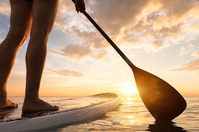 Sunset SUP Tour in Marbella - The calm marina practice: how the instruction actually helps