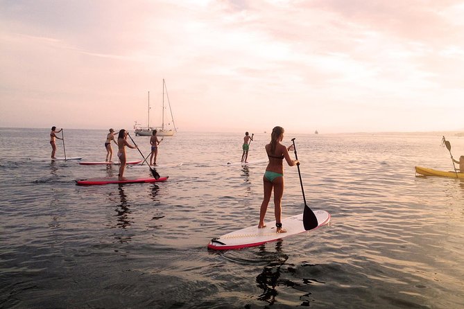 Sunset SUP Tour in Marbella - Meeting at NaluSurReal: getting set without stress