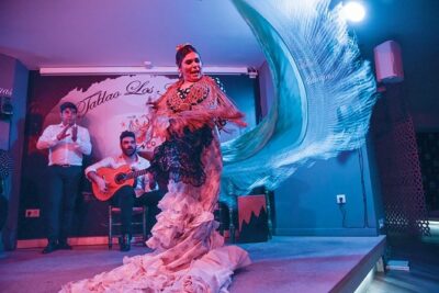 Tablao Flamenco Los Amayas Admission Ticket - Professional Granada artists and the real tablao setup