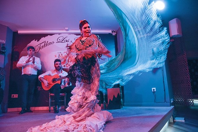 Tablao Flamenco Los Amayas Admission Ticket - Professional Granada artists and the real tablao setup