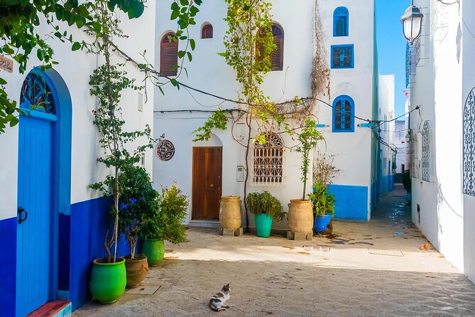 Tangier & Asilah Private Tour with from Malaga or Marbella - The Medina of Tangier: shops, alleys, and a full sensory circuit