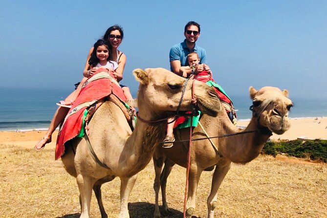 Tangier Private Tour from Malaga or Marbella w/ guide and driver - Medina of Tangier: your guided shortcut through the old city