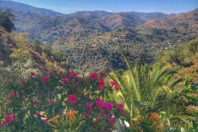 Tapas & Sherry an Andalucian Gourmet Experience. - Lunch al fresco (or by the log fire): where the meal becomes the memory