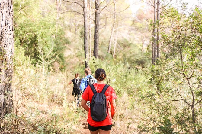 The Monks Trail: Mountain Hiking Adventure In Marbella - Why the Monks Trail hike works so well in Marbella