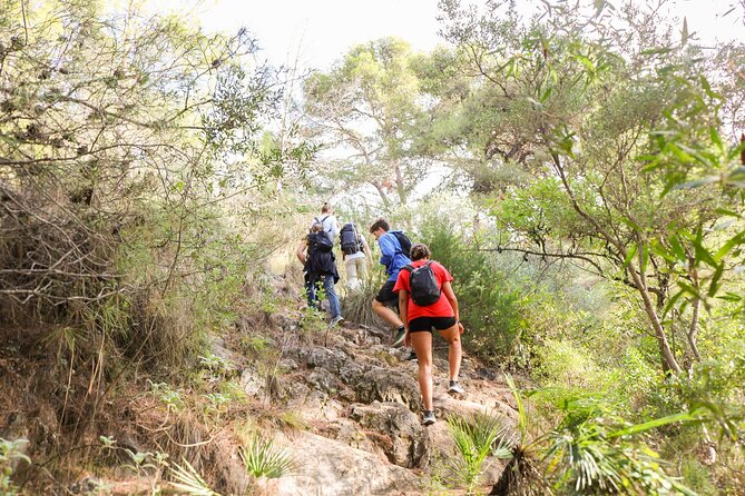 The Monks Trail: Mountain Hiking Adventure In Marbella - Snacks, water, and the smart extras that reduce stress