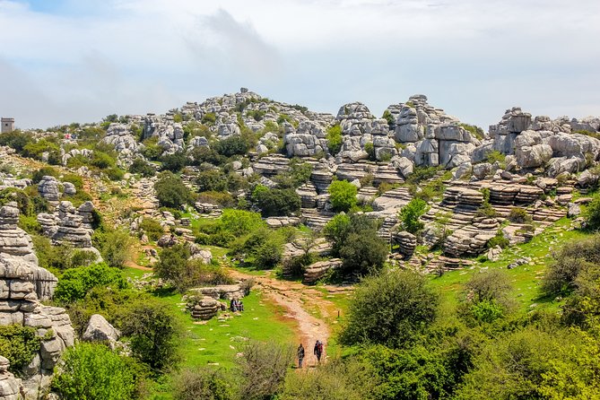 Torcal de Antequera Hiking Tour from Málaga - Wildlife Chances: Mountain Goats and Griffon Vultures