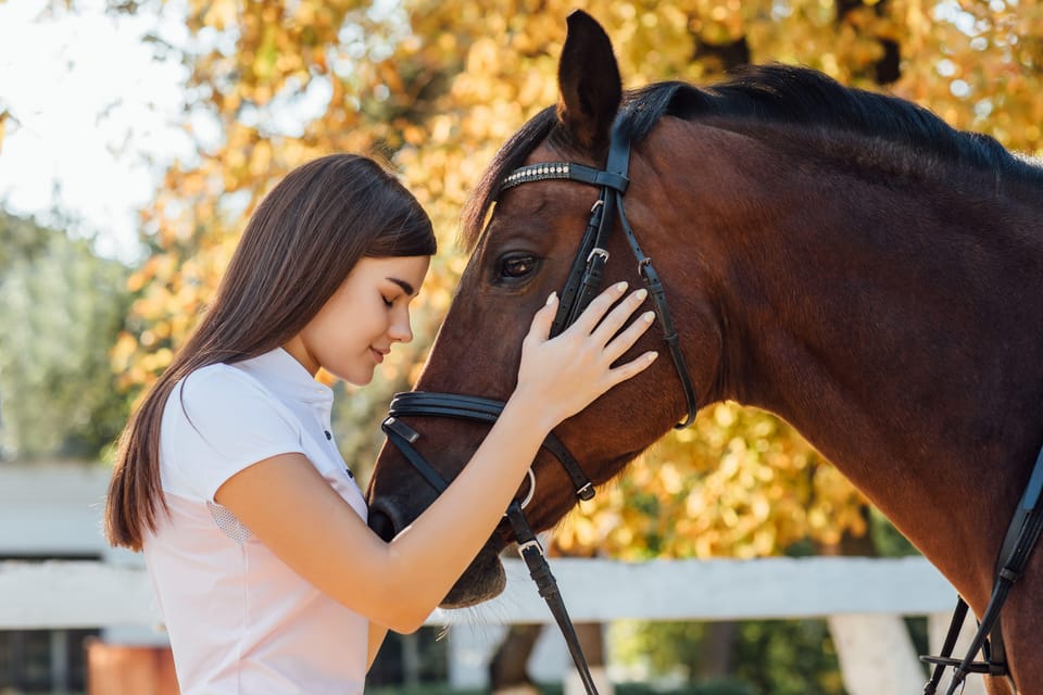 Torremolinos: Guided tour to stables of El Ranchito - Key moments worth showing up for