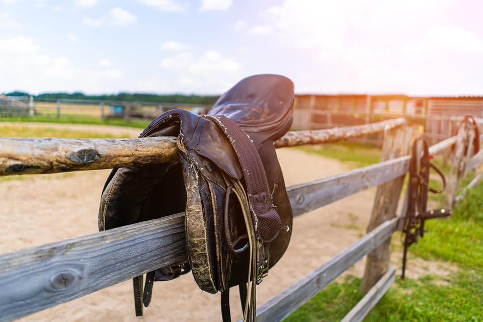 Torremolinos: Guided tour to stables of El Ranchito - Small logistics that make a big difference