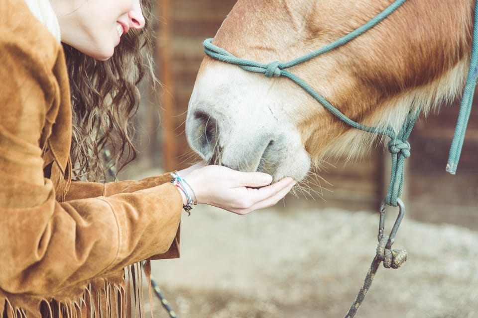 Torremolinos: Guided tour to stables of El Ranchito - Who this tour suits best (and who should reconsider)