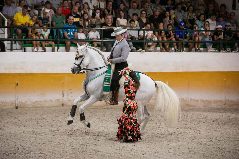 Torremolinos: Spanish horse show and flamenco with dinner option - Key things to know before you go