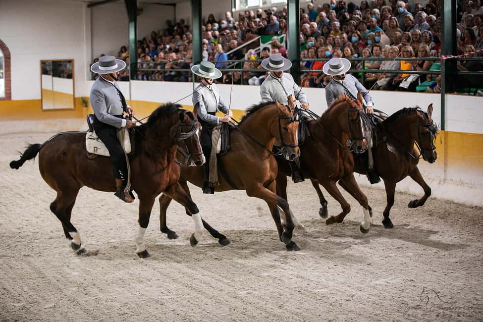 Torremolinos: Spanish horse show and flamenco with dinner option - Torremolinos Horse Show at El Ranchito: What You’re Really Signing Up For