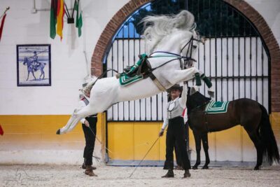 Torremolinos: Spanish horse show and flamenco with dinner option - The 2025 Guided Visit at 5:00 p.m.: Priority Seating Without the Rush