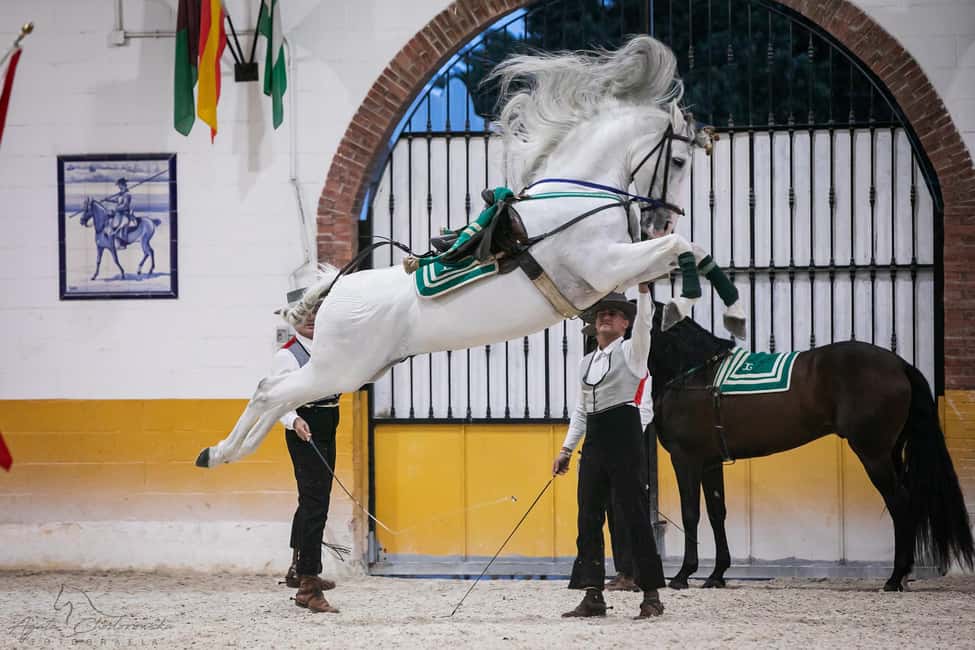 Torremolinos: Spanish horse show and flamenco with dinner option - The 2025 Guided Visit at 5:00 p.m.: Priority Seating Without the Rush