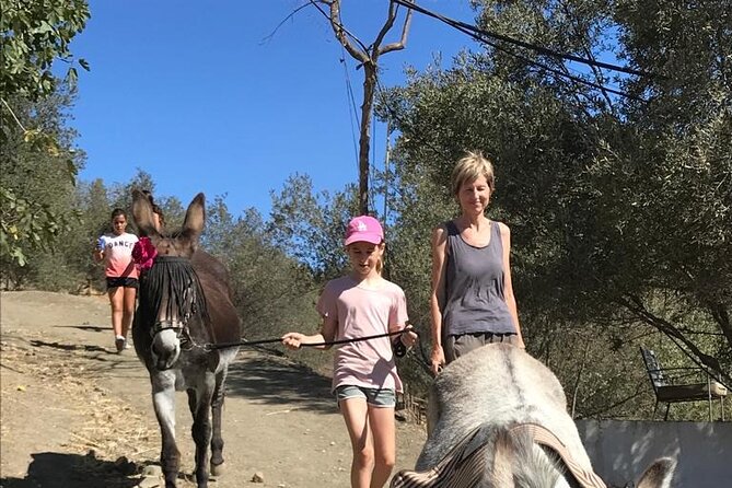 Tour the Sanctuary and Walk with the Donkeys and Share their Love - Donkey Dreamland near Malaga: what this experience really is