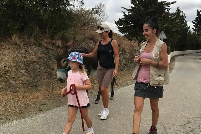 Tour the Sanctuary and Walk with the Donkeys and Share their Love - Brunch on the terrace: Andalusia flavors after your walk