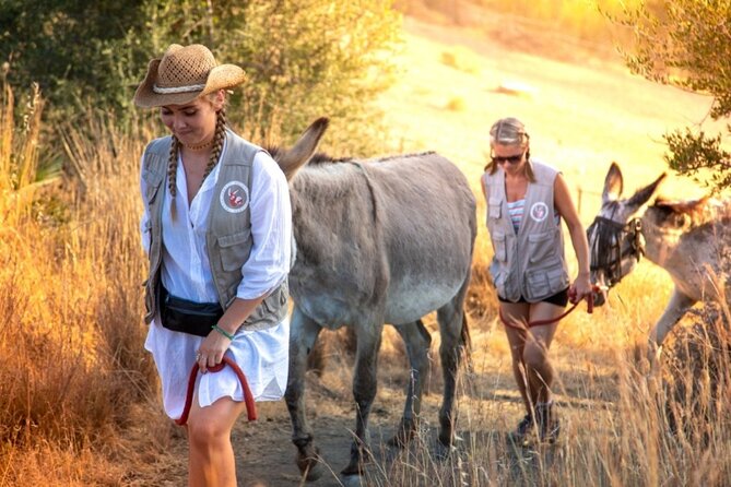 Tour the Sanctuary and Walk with the Donkeys and Share their Love - Price and value: does $66.16 make sense?
