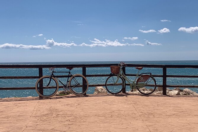 Vintage Style Bike Rental in Malaga - Vintage bikes and the right kind of freedom in Malaga
