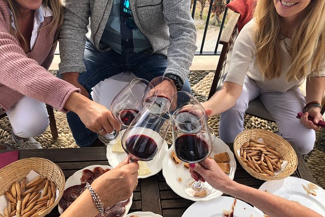 VIP Ronda Wine Tour and Tasting and Gourmet Lunch Experience with Winemaker - Key Highlights Worth Booking For