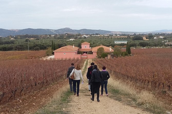 VIP Ronda Wine Tour and Tasting and Gourmet Lunch Experience with Winemaker - The Timing and Flow: How the 8 Hours Feel in Practice