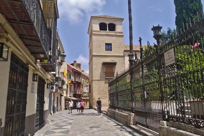 Visit the Picasso Museum with an Accredited Guide - The Buenavista palace sets the tone before Picasso even starts