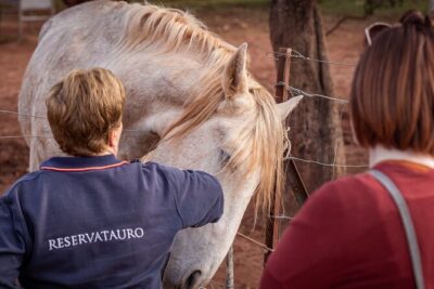 Visita Entre Toros y Caballos - Inside the Testing Bullring: Where Selection Takes Place