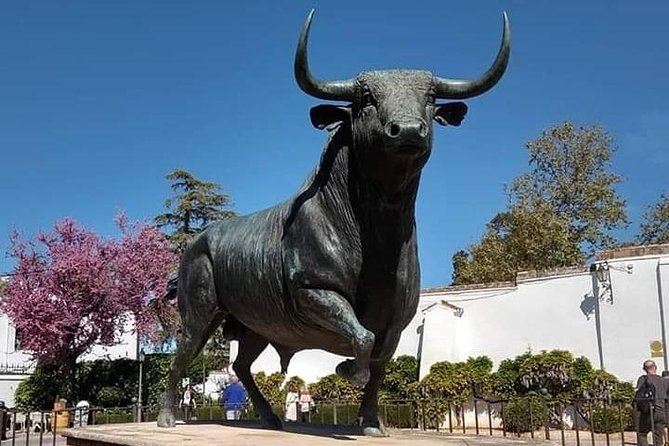 Visita Guiada Ronda - Entering Ronda: Why This Route Works in Just Two Hours