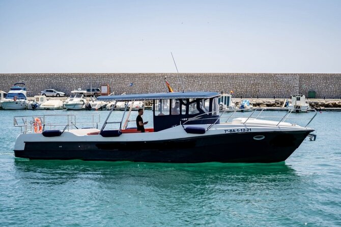 Walk and dolphin watching in Fuengirola + 1 drink - Why Fuengirola makes sense for dolphin watching on the Costa del Sol