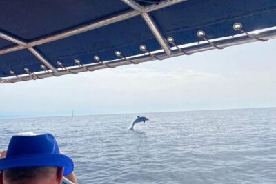 Walk and dolphin watching in Fuengirola + 1 drink - Meeting at C. Puerto 5 and settling into a calm small-group boat