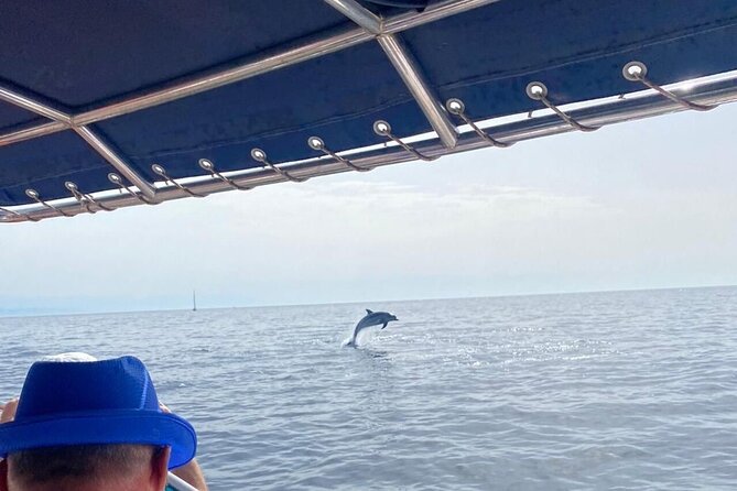 Walk and dolphin watching in Fuengirola + 1 drink - Meeting at C. Puerto 5 and settling into a calm small-group boat